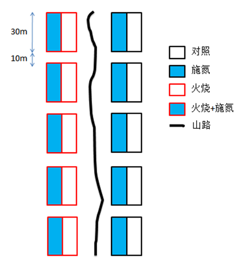 氨基酸分析仪